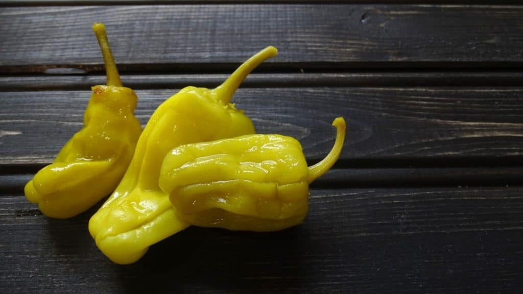 Pepperoncini Peppers