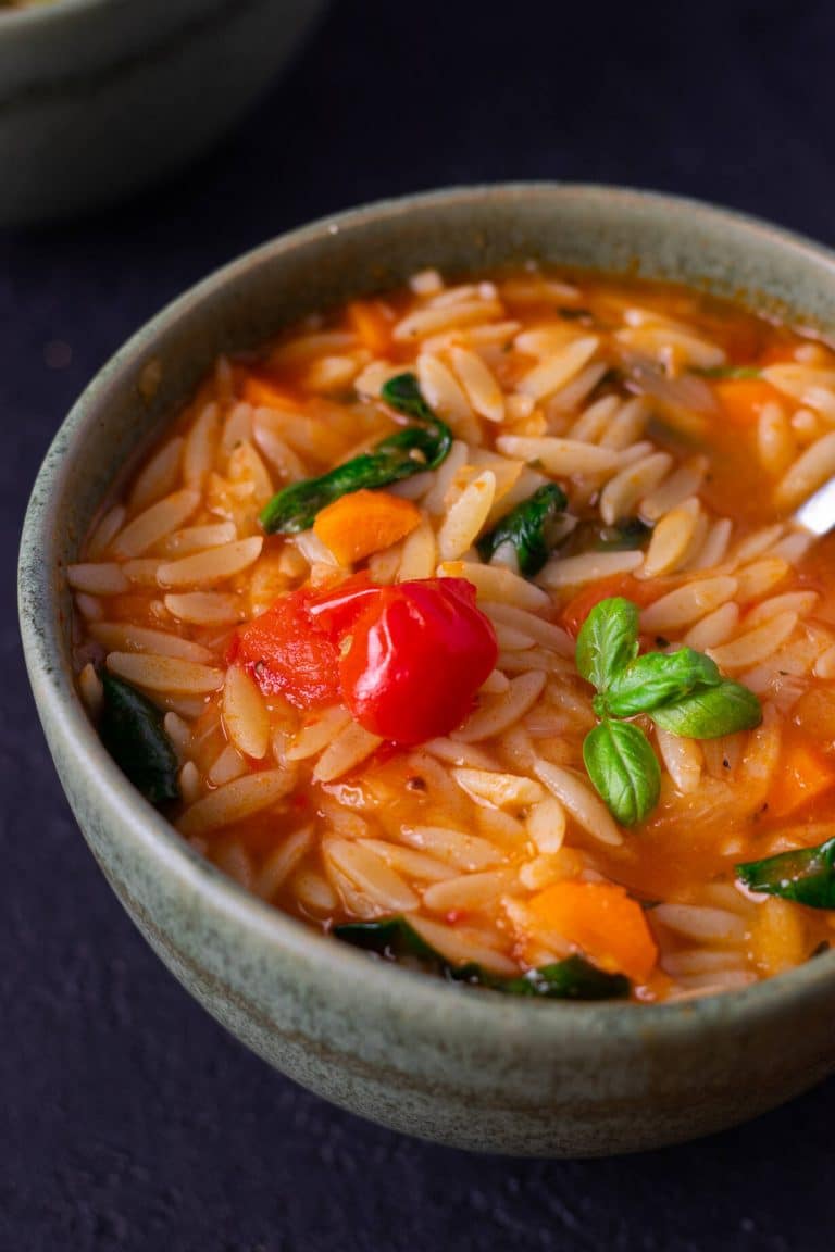 Simple Veggie Orzo Soup