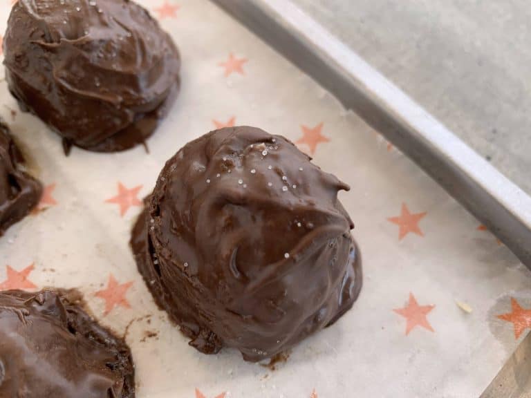 Very Delicious & Very Vegan Dark Chocolate Coconut Bites