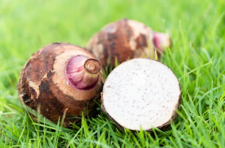What Does Taro Taste Like?