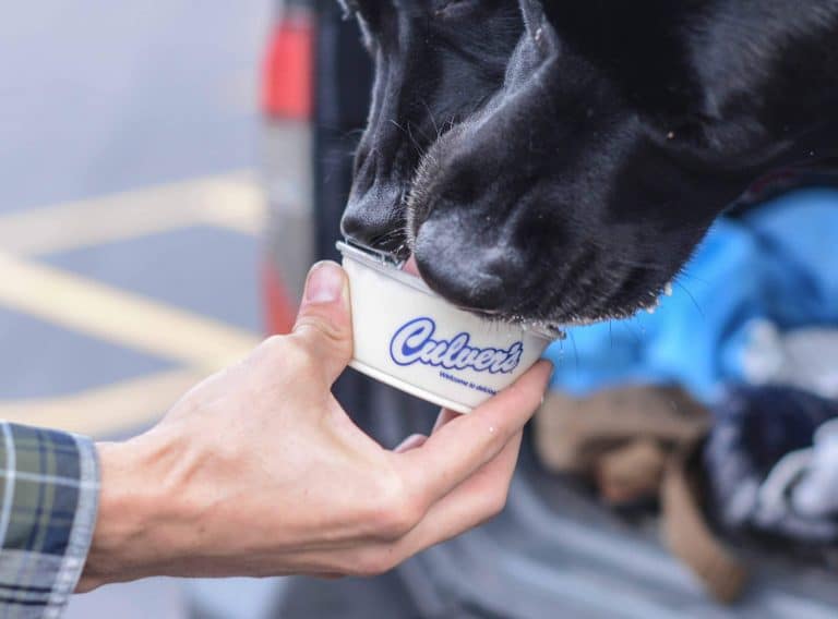 All The Culver’s Vegan Menu Options
