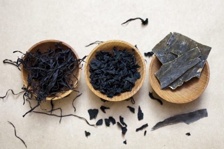 Is Seaweed Vegan?