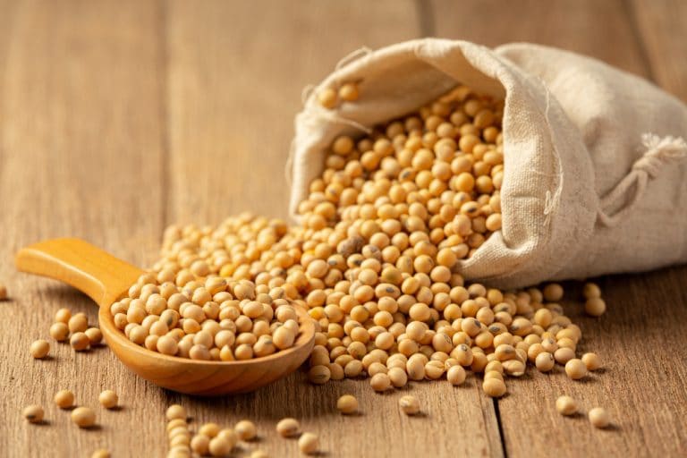Is Lecithin Vegan?