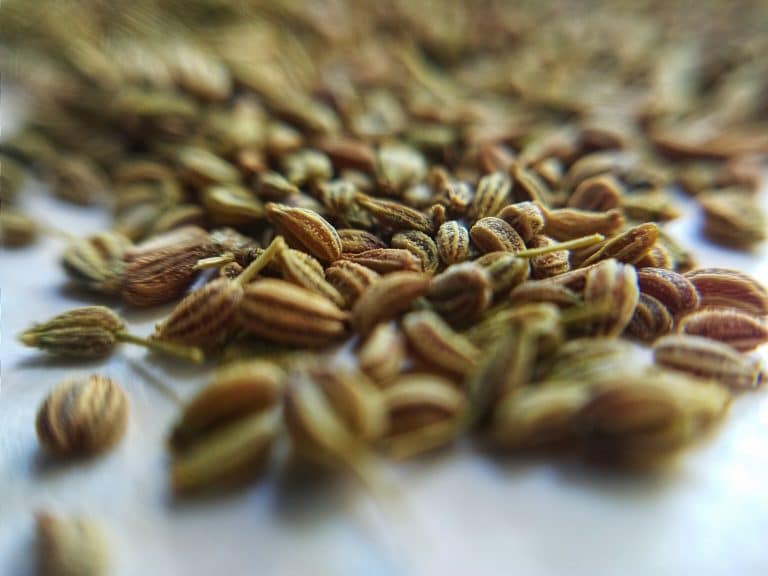 Best Caraway Seeds Substitutes