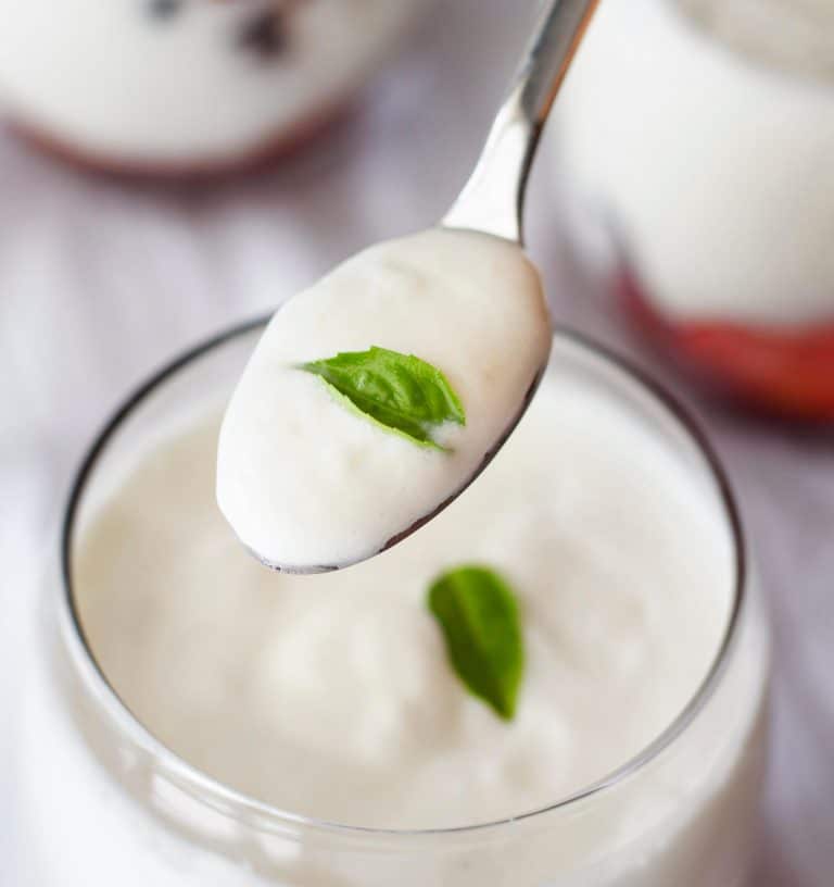 Best Bulgarian Yogurt Brands
