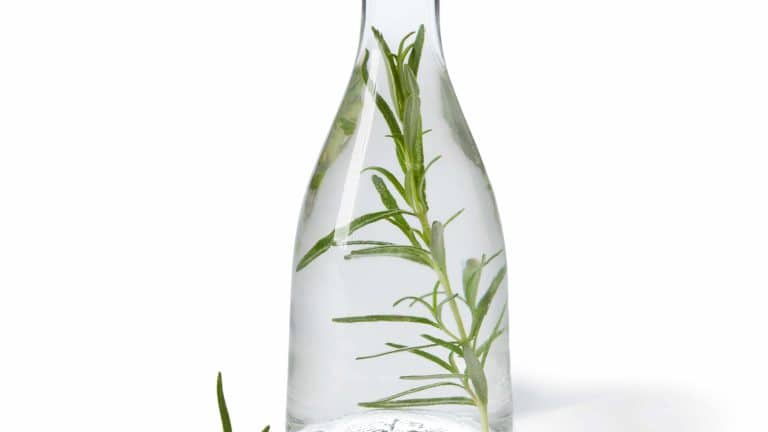 Best Substitutes For Tarragon Vinegar
