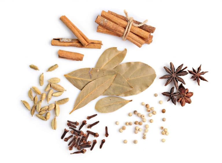 Best Substitutes For Cinnamon Stick