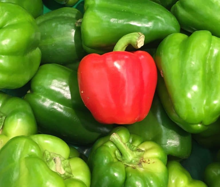 Best Substitutes For Pimento