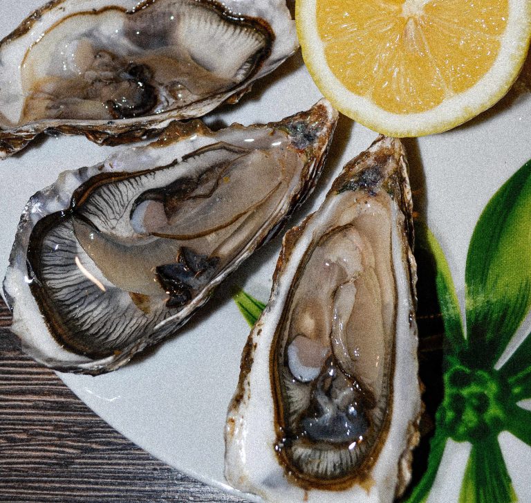 All About The Best Oyster Shucking Knives