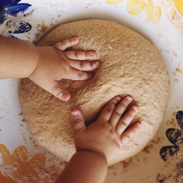 Best Substitutes For Spelt Flour