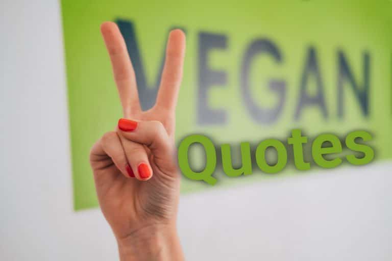 88 Interesting Vegan Quotes