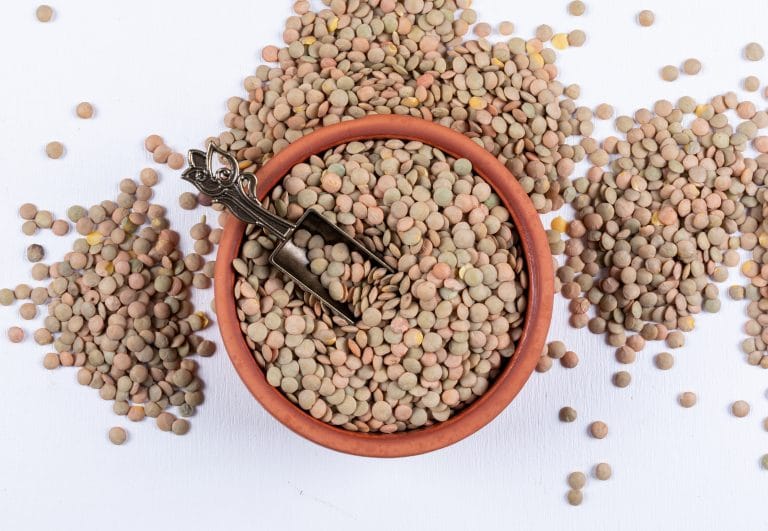 Green lentils in a brown bowl and iron spice spoon on a white background. top view.