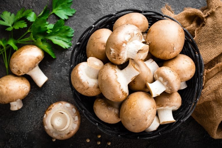 Mushrooms. Fresh mushrooms in basket