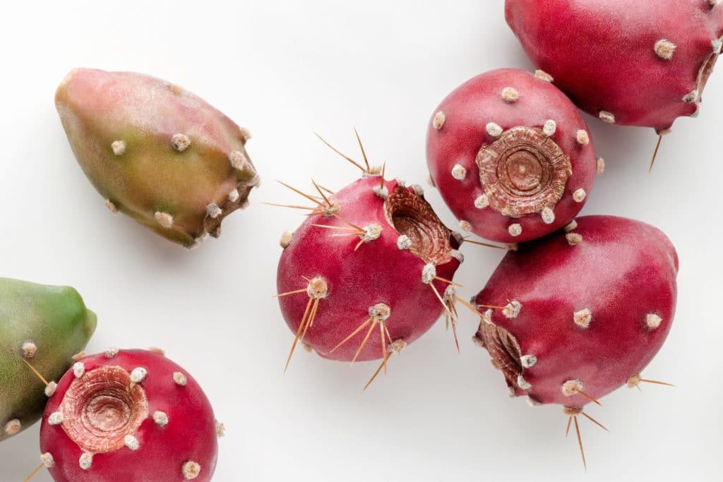 What Does Cactus Taste Like?