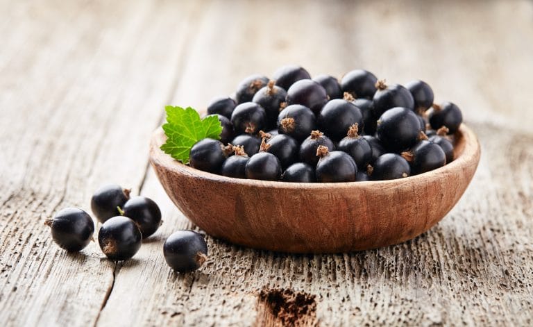 All About Black Currant