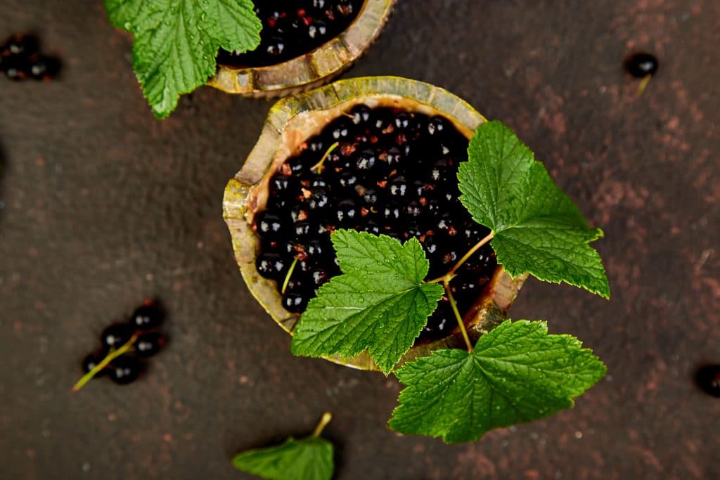 Blackcurrant berries with leaves, black currant in green bowls. 