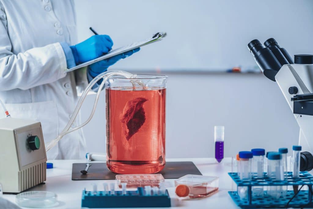 Cultured meat. female scientist taking notes in laboratory