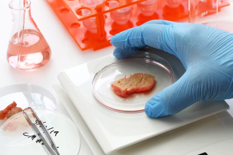 All About Lab-Grown Meat & Fish