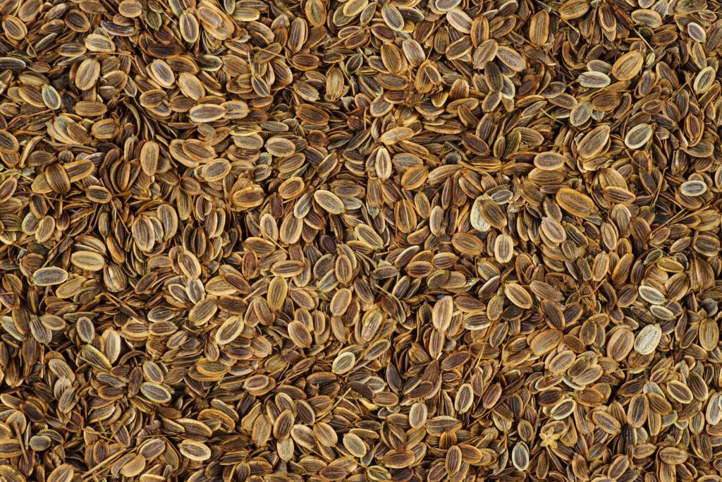 Dill seeds