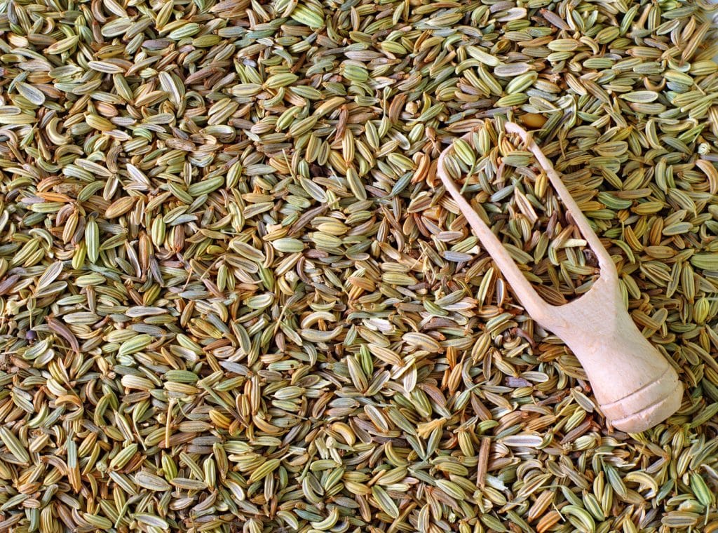 fennel