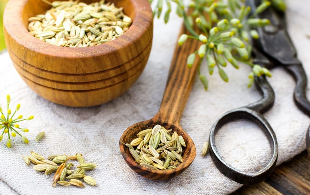 Fennel seeds in wooden spoon outdoor shot