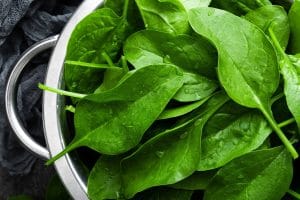 Fresh spinach leaves
