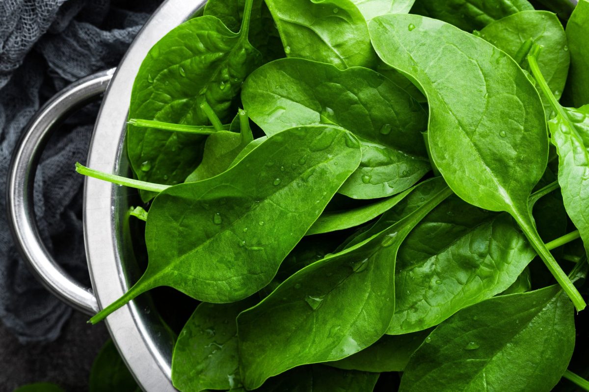 Fresh spinach leaves