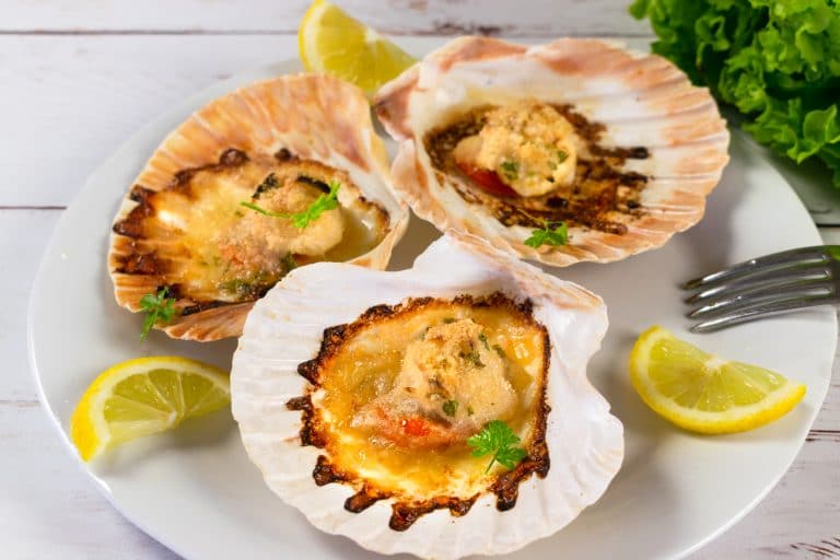 Easy Capesante Graten (Scallops in the Shell)