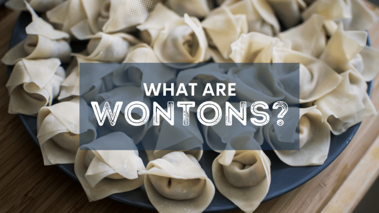 What Are Wontons?