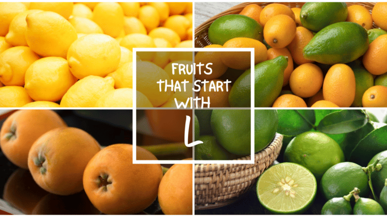 All The Fruits That Start With L