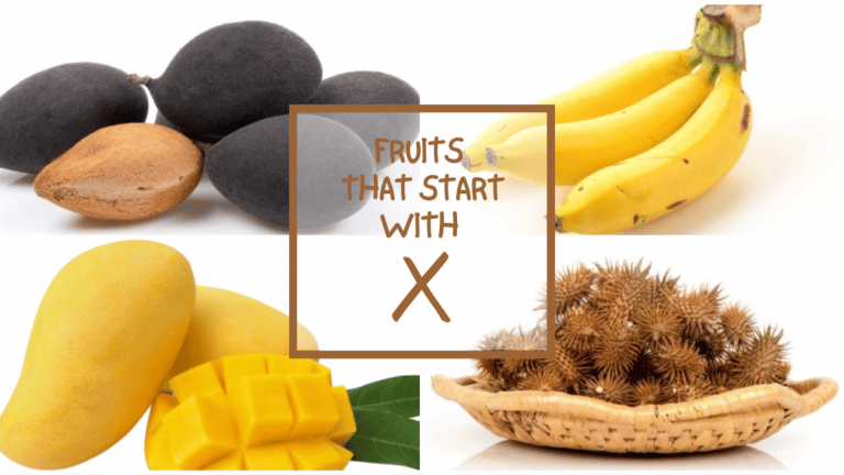 All The Fruits That Start With X