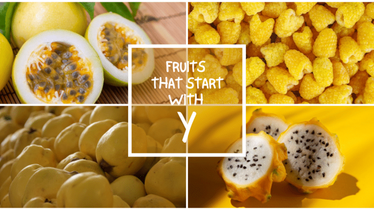 All The Fruits That Start With Y