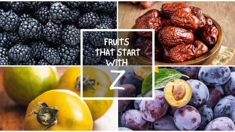 All The Fruits That Start With Z