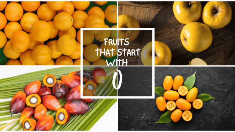 All The Fruits That Start With O