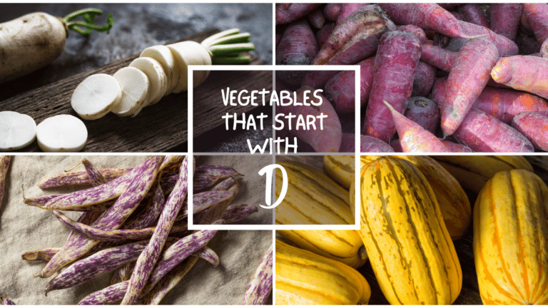 All The Vegetables That Start With D