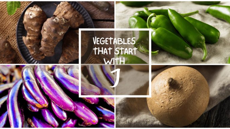 All The Vegetables That Start With J