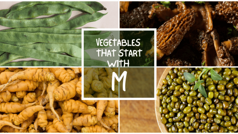 All The Vegetables That Start With M