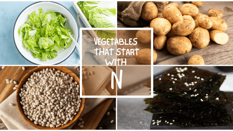 All The Vegetables That Start With N