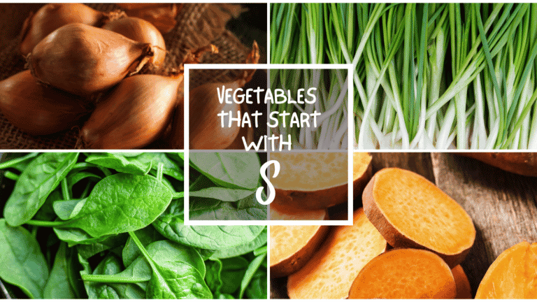 All The Vegetables That Start With S