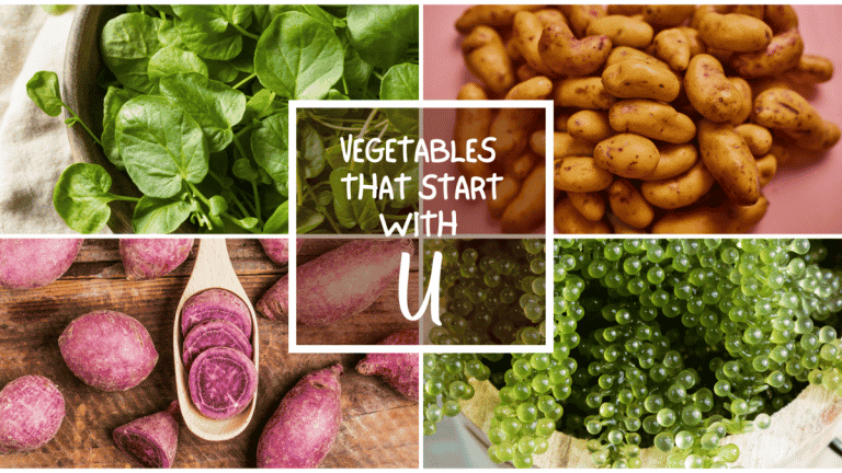 All The Vegetables That Start With U