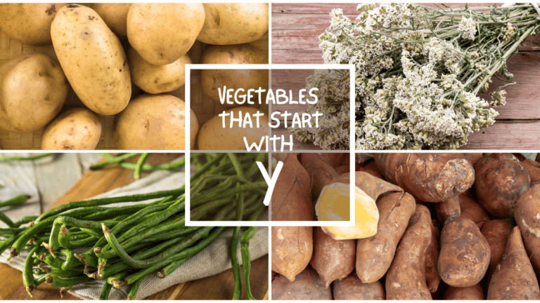 All The Vegetables That Start With Y