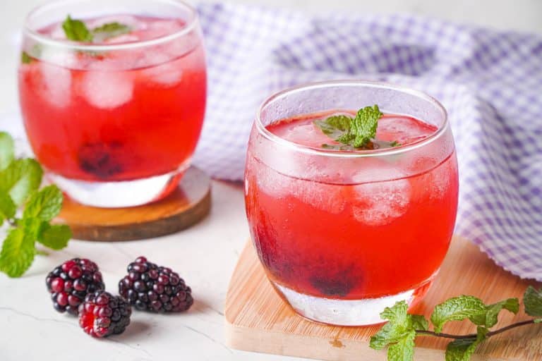 Bubbly Blackberry Bourbon Smash Cocktail