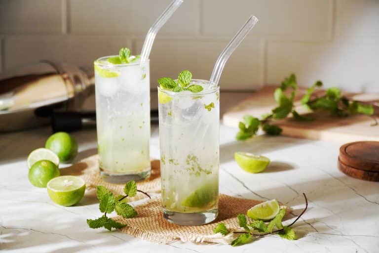 Homemade Mojito Mocktail