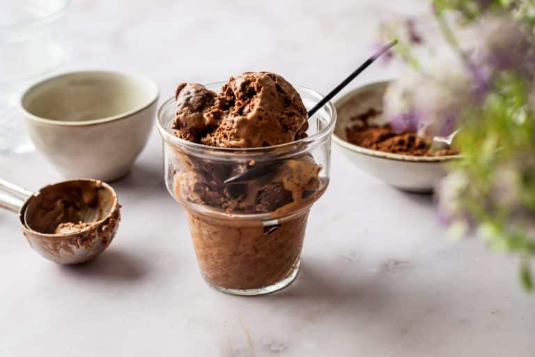 Best Vegan Chocolate Truffle Chip Ice Cream