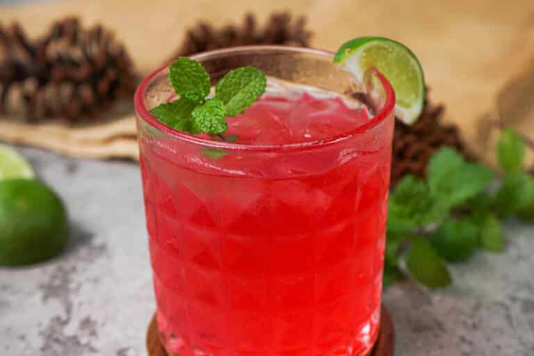 Homemade Hibiscus Moscow Mule (Ginger Beer Cocktail)